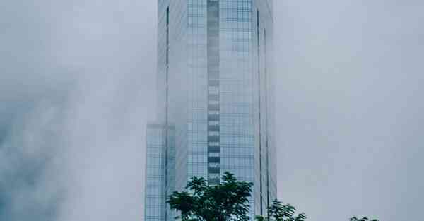 佛跳墙v2.